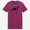 Softstyle ® T Shirt Thumbnail