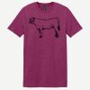 Softstyle ® T Shirt Thumbnail