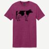 Softstyle ® T Shirt Thumbnail