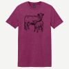 Softstyle ® T Shirt Thumbnail