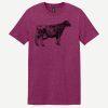 Softstyle ® T Shirt Thumbnail