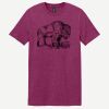 Softstyle ® T Shirt Thumbnail