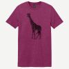 Softstyle ® T Shirt Thumbnail