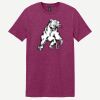 Softstyle ® T Shirt Thumbnail