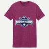 Softstyle ® T Shirt Thumbnail