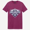 Softstyle ® T Shirt Thumbnail