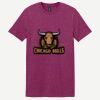 Softstyle ® T Shirt Thumbnail