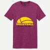 Softstyle ® T Shirt Thumbnail