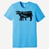 Unisex Triblend Short Sleeve Tee Thumbnail