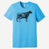 Unisex Triblend Short Sleeve Tee Thumbnail