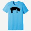 Unisex Triblend Short Sleeve Tee Thumbnail