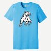 Unisex Triblend Short Sleeve Tee Thumbnail