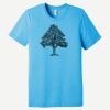 Unisex Triblend Short Sleeve Tee Thumbnail