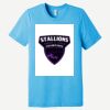 Unisex Triblend Short Sleeve Tee Thumbnail