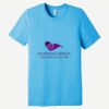 Unisex Triblend Short Sleeve Tee Thumbnail