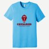 Unisex Triblend Short Sleeve Tee Thumbnail