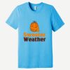 Unisex Triblend Short Sleeve Tee Thumbnail