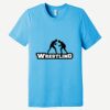 Unisex Triblend Short Sleeve Tee Thumbnail