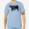 Unisex Heather CVC Short Sleeve Tee Thumbnail