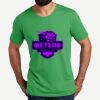 Unisex Tri Blend Tee Thumbnail
