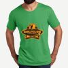 Unisex Tri Blend Tee Thumbnail