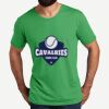 Unisex Tri Blend Tee Thumbnail