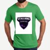 Unisex Tri Blend Tee Thumbnail