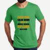 Unisex Tri Blend Tee Thumbnail
