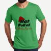 Unisex Tri Blend Tee Thumbnail