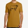 Adult Cotton Tee Thumbnail