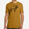 Adult Cotton Tee Thumbnail