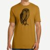 Adult Cotton Tee Thumbnail