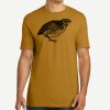 Adult Cotton Tee Thumbnail