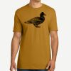 Adult Cotton Tee Thumbnail