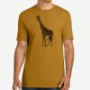 Adult Cotton Tee Thumbnail