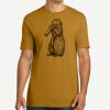Adult Cotton Tee Thumbnail
