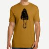 Adult Cotton Tee Thumbnail