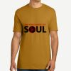 Adult Cotton Tee Thumbnail