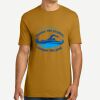 Adult Cotton Tee Thumbnail